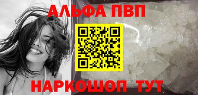 молекула духа Кингисепп