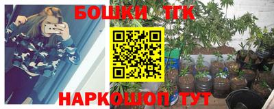 молекула духа Кингисепп
