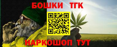молекула духа Кингисепп