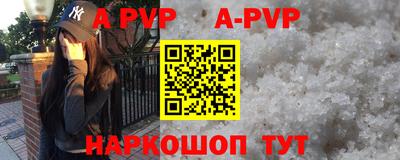 молекула духа Кингисепп