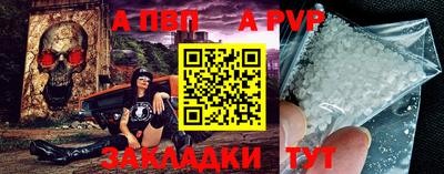 молекула духа Кингисепп