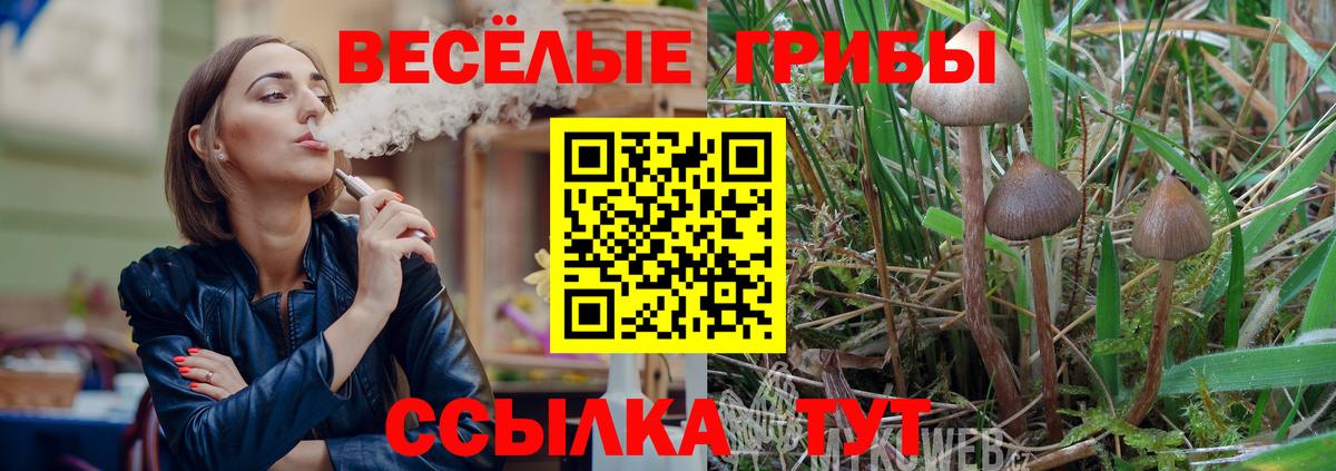 Невинномысск  Псилоцибиновые грибы мицелий  купить наркотики цена  Галлюциногенные грибы мицелий  Вход с VPN 