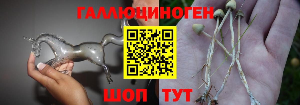 Галлюциногенные грибы Magic Shrooms Невинномысск